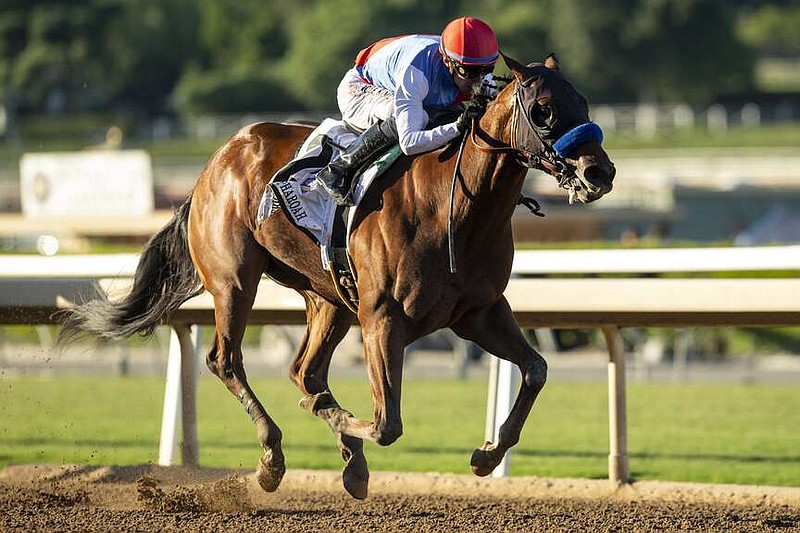 FILE - In a photo provided by Benoit Photo, Muth, ridden by jockey Juan Hernandez, wins the Grade I, $300,000 American Pharoah Stakes horse race Saturday, Oct. 7, 2023, at Santa Anita in Arcadia, Calif.  Preakness favorite Muth has been ruled out of the second leg of the Triple Crown after spiking a fever. The Maryland Jockey Club announced Muth's status change Wednesday, May 15, 2024, roughly 12 hours after the horse arrived at Pimlico Race Course in Baltimore. (Benoit Photo via AP, File)