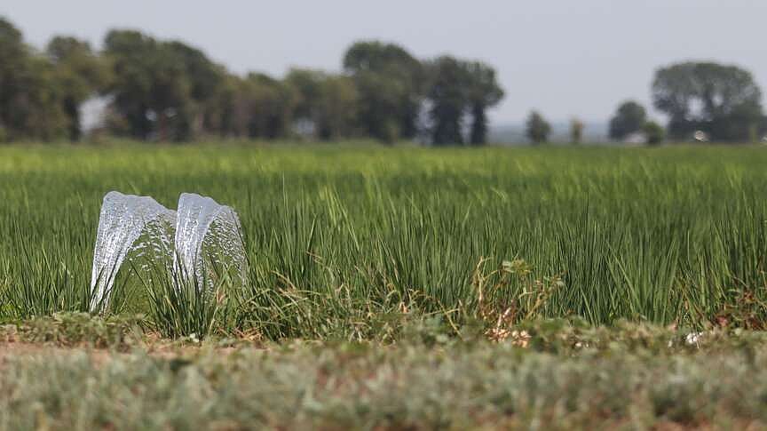 Report: Arkansas groundwater withdrawal rates remain unsustainable