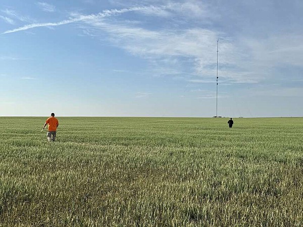 Kansas wheat harvest on track for highest yield in three years | The Arkansas Democrat-Gazette - Vimarsana News
