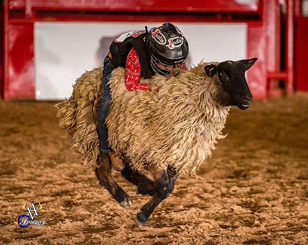Quick Pick: Come to Old Fort Days Rodeo for bull riding, barrel racing and more | Northwest Arkansas Democrat-Gazette - Vimarsana News
