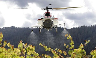 File - In this Oct. 15, 2014, file photo, a drone called the RMAX, a remotely piloted helicopter, sprays water over grapevines during a demonstration of it's aerial application capabilities at the University of California, Davis' Oakville Station test vineyard in Oakville, Calif. The drone large enough to carry tanks of fertilizers and pesticides has won rare approval from federal authorities to spray crops in the United States, officials said Tuesday, May 5, 2015. (AP Photo/Rich Pedroncelli, File)