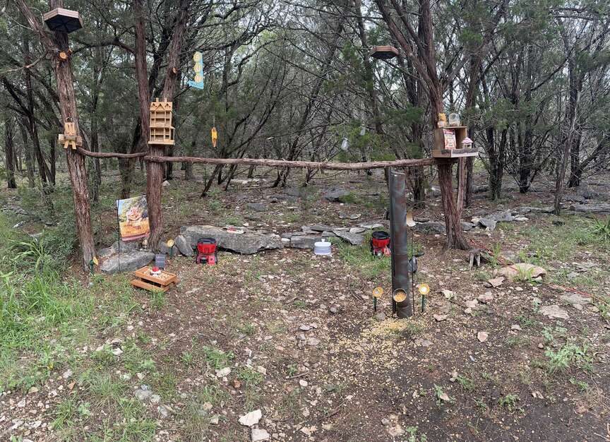 Squirrels were struggling in a heat wave. She made them a ‘squirrel spa.’ Texarkana Gazette