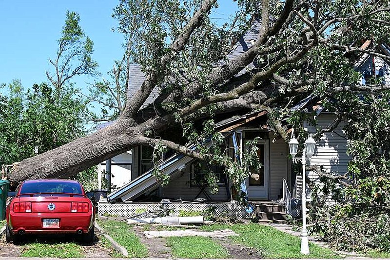 Rogers hires arborist to assess damaged and hazardous trees in wake of Memorial Day weekend storms