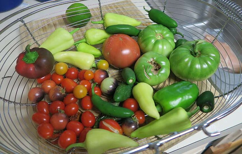 Vegetable gardens got a bit of a slow start, but they have rebounded and are producing nicely.
(Special to the Democrat-Gazette/Janet B. Carson)