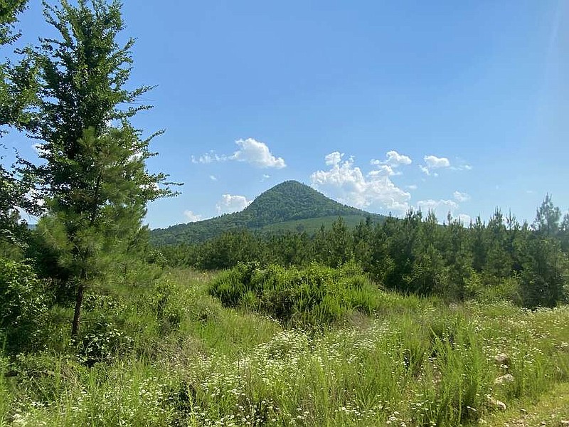 The drive through Winona will eventually meander within view of Forked Mountain. (The Sentinel-Record/Corbet Deary)