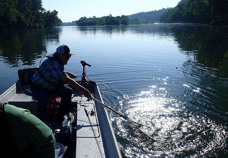 Catching trout on the White River below Bull Shoals Dam in May with Mike Sharp of Evening 
Shade took care of the trout requirement for a 2024 Grand Slam Award. Sharp nets a trout near Calico Rock.