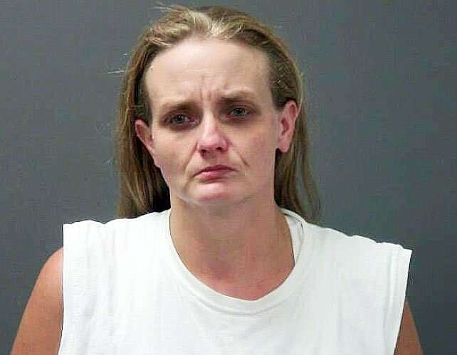Elkins woman pleads not guilty to 24 animal cruelty charges | The ...