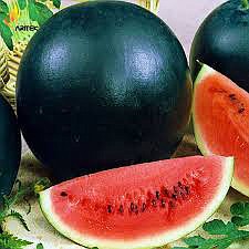 Black diamond watermelon

(Courtesy Photo)