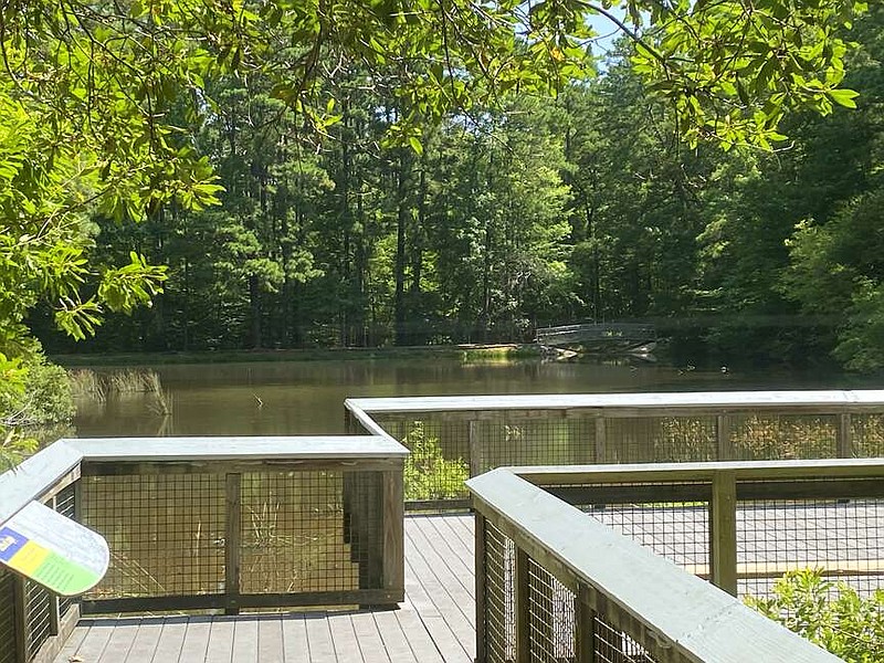 Those who quietly wait at the Logoly State Park pond are apt to see native critters going about their everyday rituals. (The Sentinel-Record/Corbet Deary)