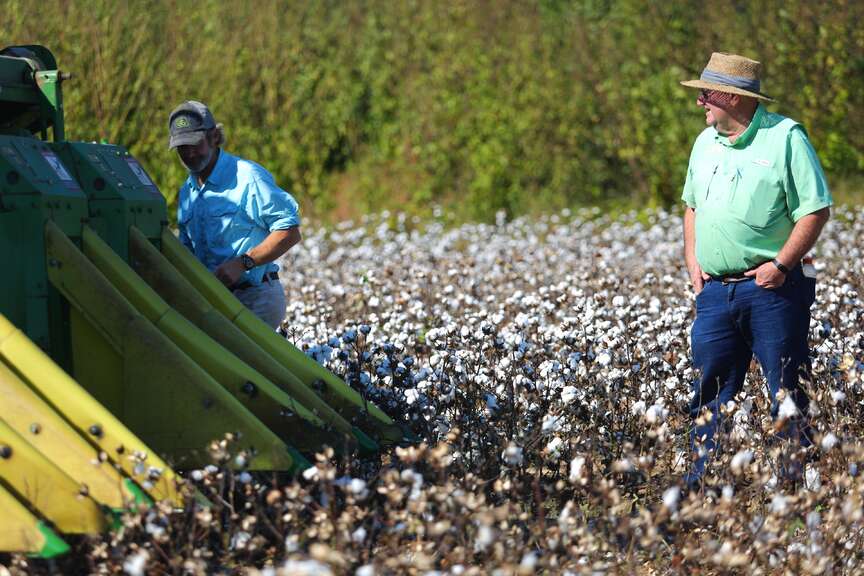 Decline in cotton gins reflects changing trends