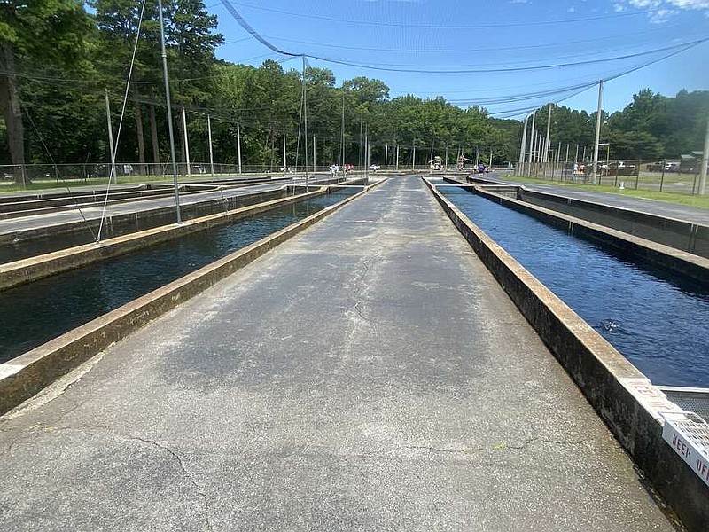 Some of the trout produced at Greers Ferry National Fish Hatchery are released by the thousands at the base of local dams during the winter months. (The Sentinel-Record/Corbet Deary)