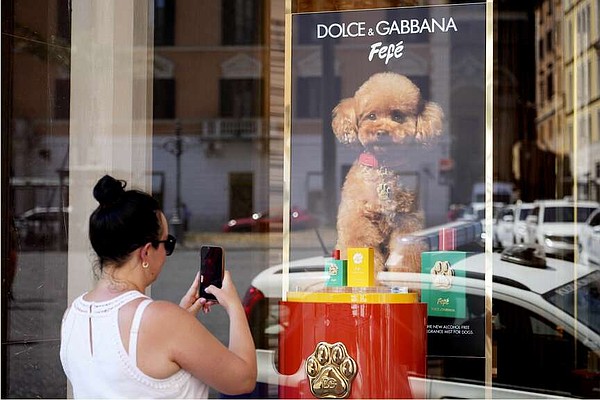 Fashion house debuts dog perfume