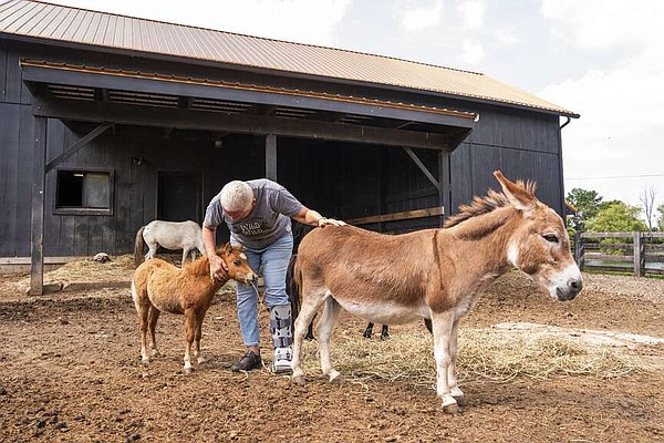 Modern settlers take great interest in mini-ranching | The Arkansas Democrat-Gazette