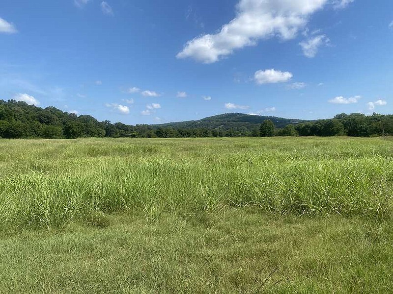 Crooked Creek Nature Center is nestled on 421 acres and is dedicated to outdoor education and conservation. (The Sentinel-Record/Corbet Deary)