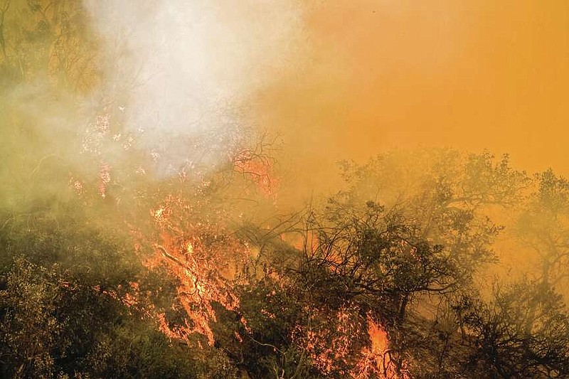 Forest Service offering reimbursement for controlled burning Texarkana Gazette