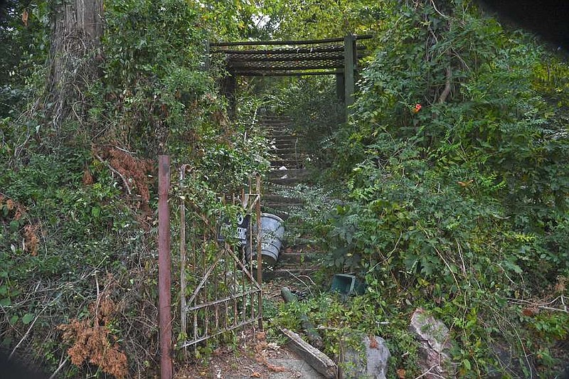 Overgrown vegetation chokes the entrance to Passmore House, 846 Park Ave., Thursday. The Hot Springs Board of Directors lacked the votes to condemn the 19th century home at its Tuesday business meeting. (The Sentinel-Record/Donald Cross)