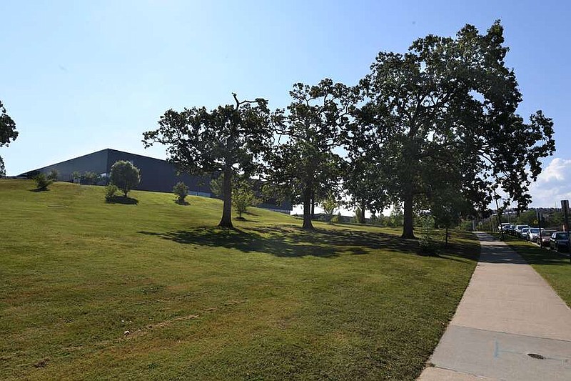 Fate of centuryold trees at Fayetteville High School left to City