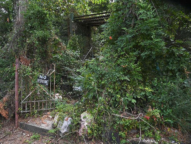 Overgrown vegetation obscures the entrance to Passmore House, 846 Park Ave., earlier this month. The Hot Springs Board of Directors condemned the vacant home, which is thought to be the oldest residence in the city. (The Sentinel-Record/Donald Cross/File)