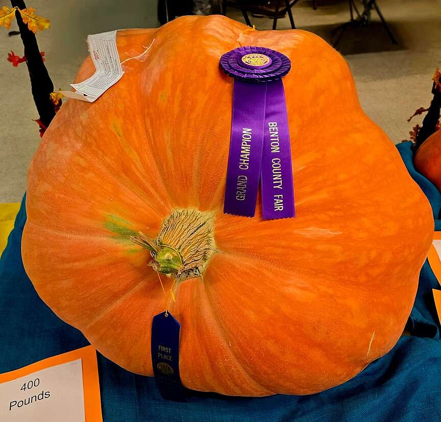Bond wins again with pumpkin entries at county fair | Westside