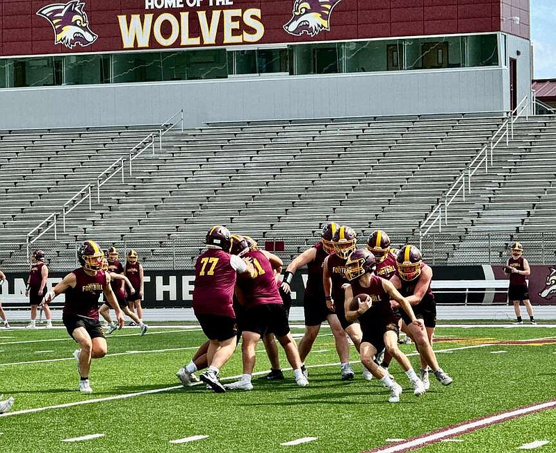 Lake Hamilton Wolves' offensive and defensive players run through drills on Thursday at Wolf Stadium. (The Sentinel-Record/Bryan Rice)