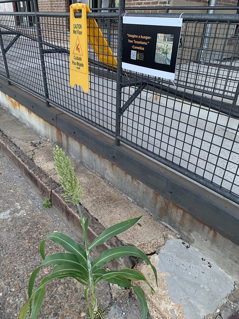 CORNELIUS CHECKIN A sign of the times Texarkana Gazette