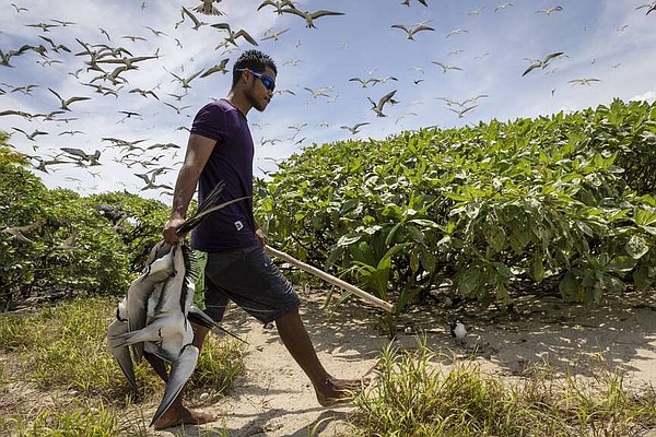 Rangers protect Palau’s Helen Reef