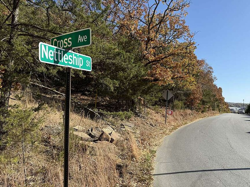 Neighbors, planning staff oppose concept for studentcentered housing