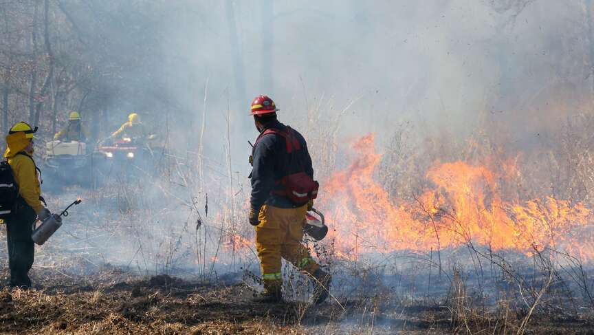 Prescribed burn group boosts wildlife habitats