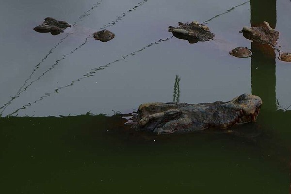 208648274_208521986-