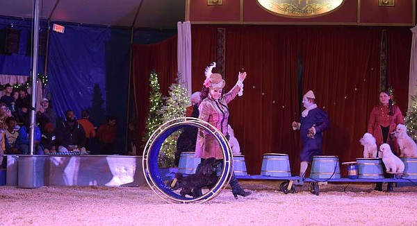 ENTERTAINMENT: Piccolo Zoppé’s Winter Circus returning to downtown North Little Rock | Northwest Arkansas Democrat-Gazette