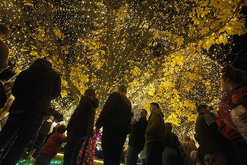 PHOTOS Bentonville kicks off the holiday season with lights and ice