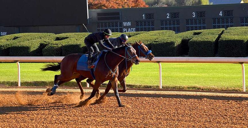 WATCH | Oaklawn Racing Casino Resort opens 65-day season Dec. 6 | Hot Springs Sentinel Record