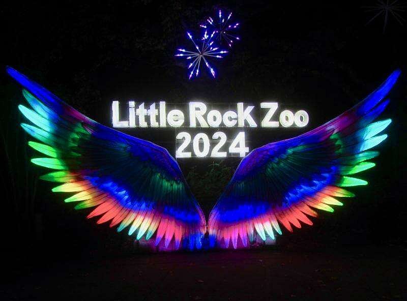 Little Rock Zoo's GloWild expands with enchanting new themes | The ...
