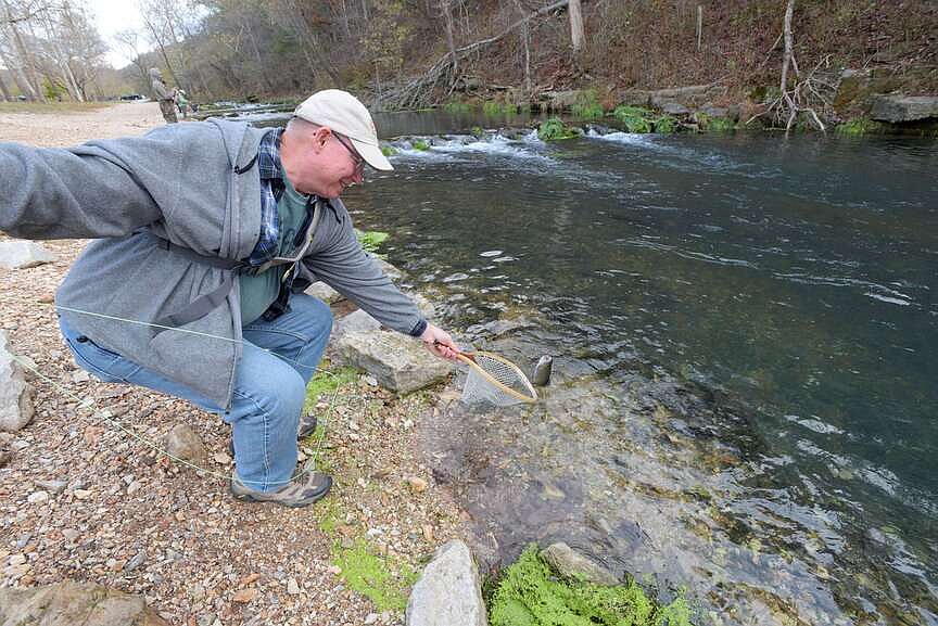 Trout plentiful during catch and release season at Roaring River