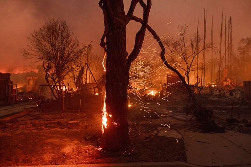 FILE - Embers are blown off a burning tree as the Eaton Fire burns in Altadena, Calif., Jan. 8, 2025. (AP Photo/Nic Coury, File)