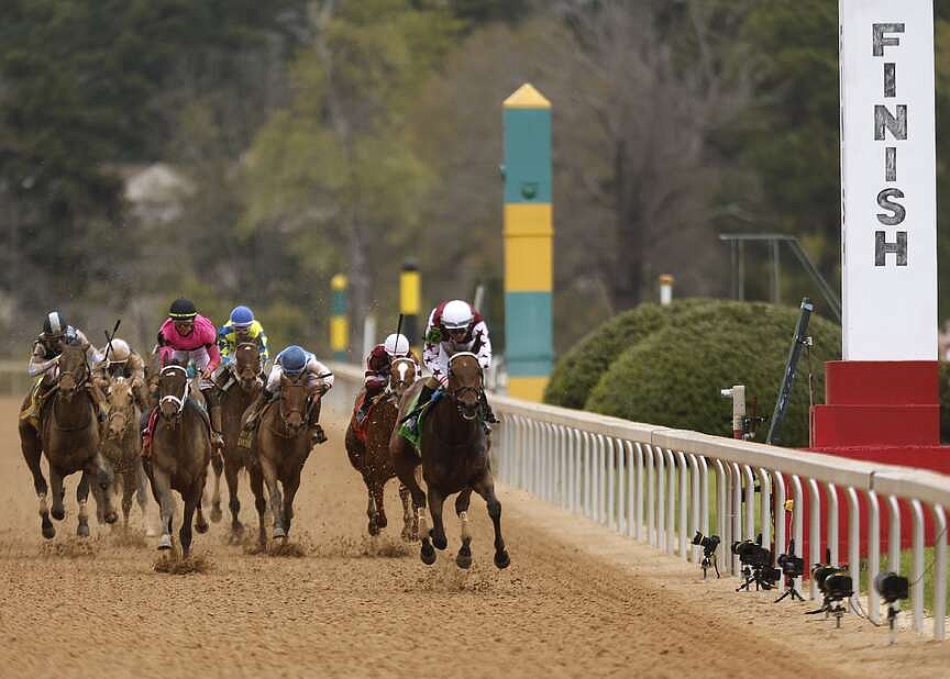 McPeek 'grizzly' named Horse of Year | Hot Springs Sentinel Record