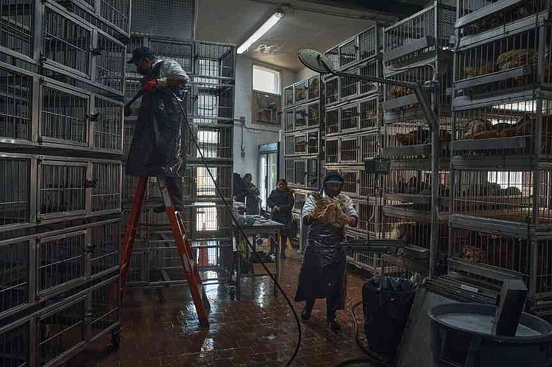 NYC bird markets close as avian flu found The Arkansas Democrat