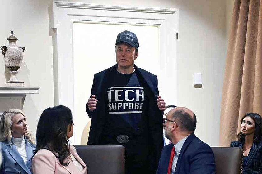Musk joins Cabinet meeting | The Arkansas Democrat-Gazette - Arkansas