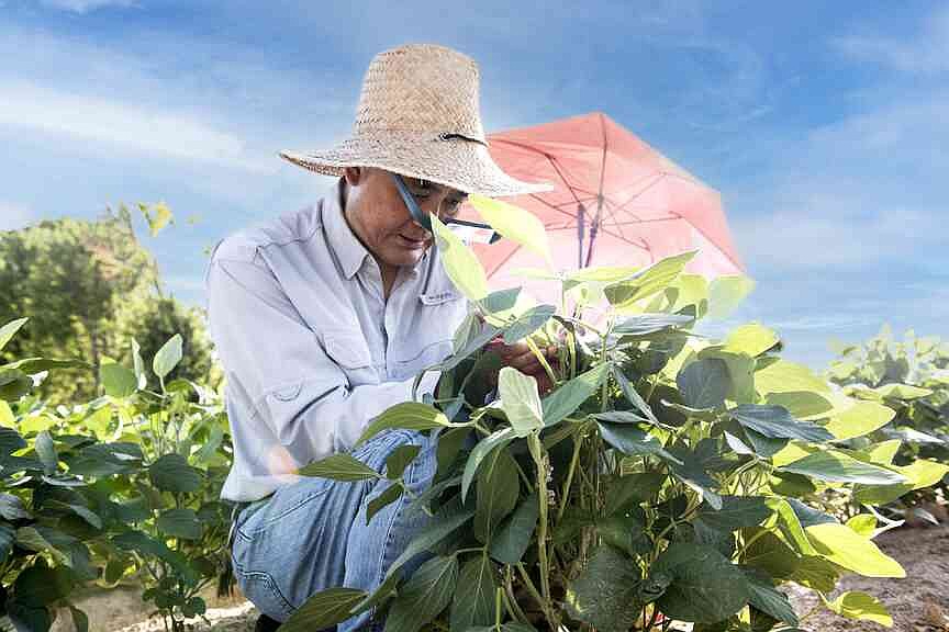 Prices complicate agricultural production, marketing