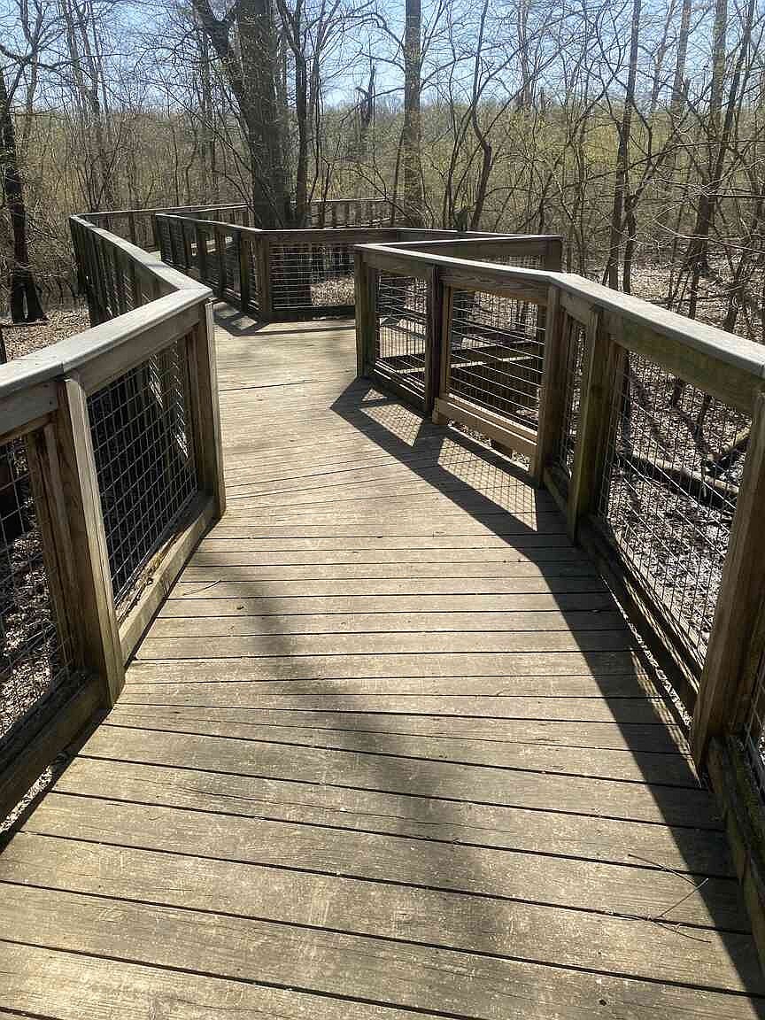 WATCH Native birds, mammals thrive at Dale Bumpers White River WATCH Native birds, mammals thrive at Dale Bumpers White River