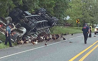 Chickens flee into woods, weave through traffic after truck rolls