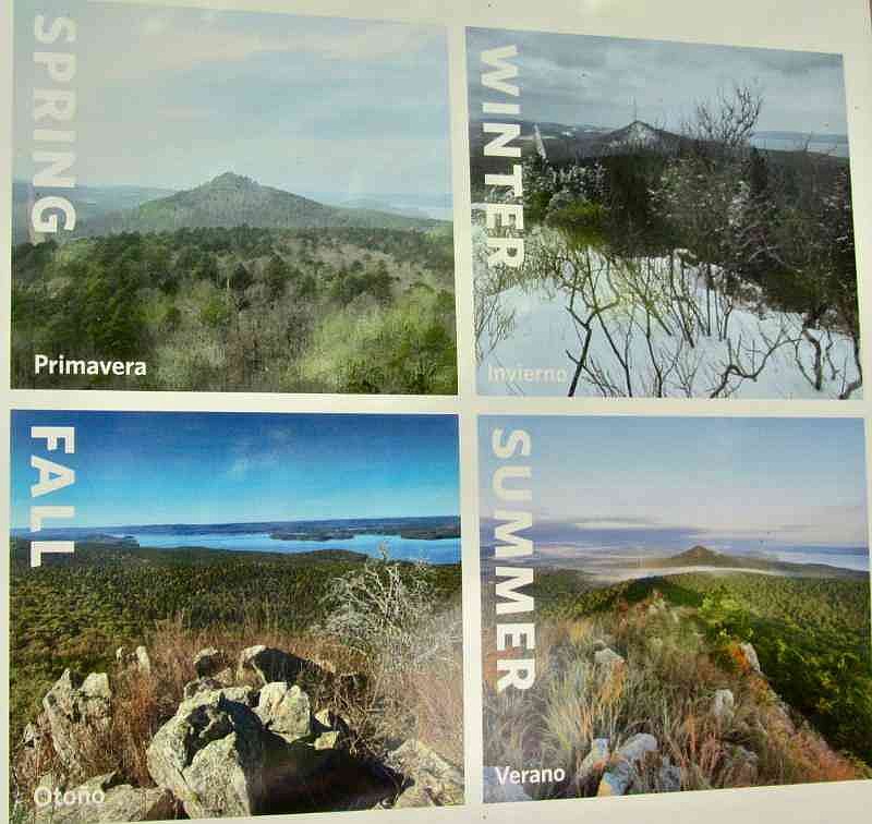 ARKANSAS SIGHTSEEING: Natural areas system marks 50 years of preservation | Northwest Arkansas Democrat-Gazette