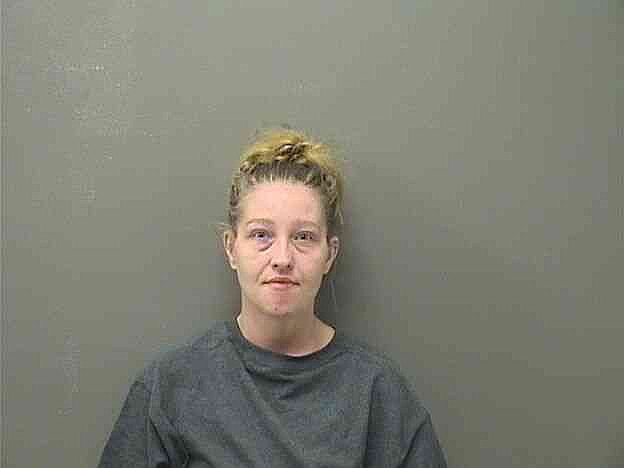 Traffic stop leads to felony arrest after gun, drugs allegedly found ...