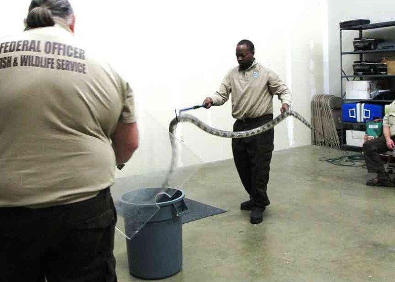 UAPB alumnus Avian Wright conducts venomous snake handling training in his job as a wildlife inspector for the U.S. Fish and Wildlife Service. (Special to The Commercial/University of Arkansas at Pine Bluff)