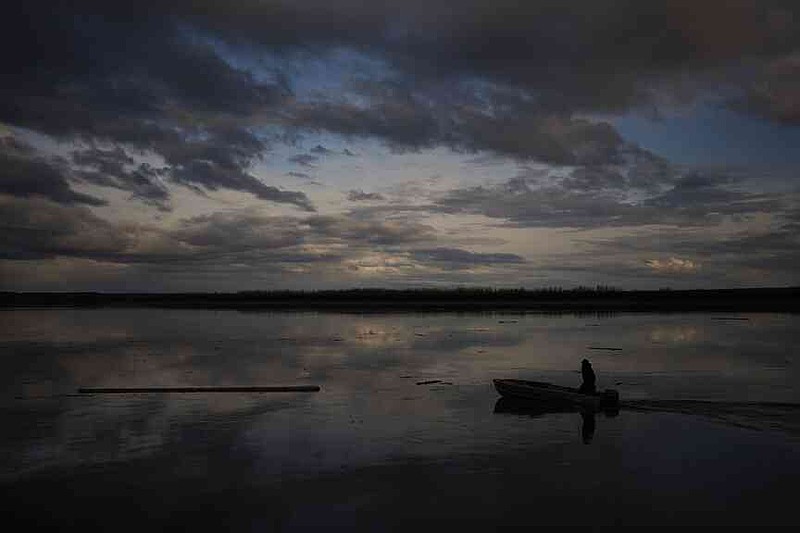 Jake Pogrebinsky collects a log floating down the Yukon River to be used for firewood or construction Tuesday, May 20, 2025, in Galena, Alaska. (AP Photo/John Locher)