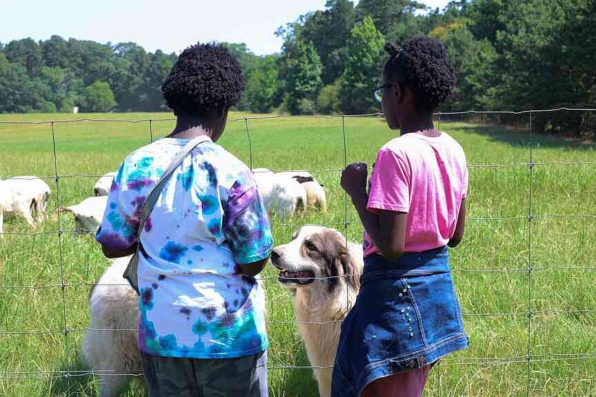 North Little Rock fifth graders take field trip to UA-Monticello’s farm