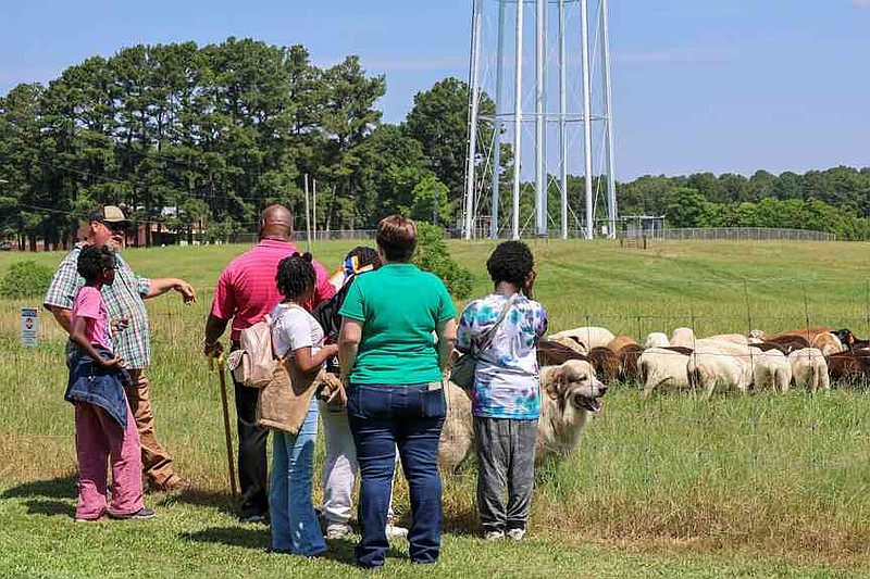 University of Arkansas at Monticello staff and North Little Rock 6 Academy of Agricultural and Veterinary Sciences participants tour the UAM farm. (Special to The Commercial/University of Arkansas System Division of Agriculture)