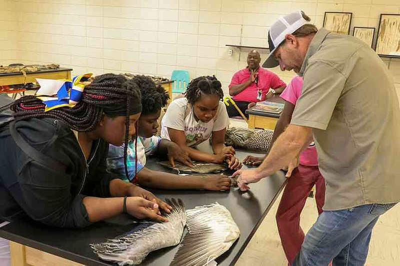 Four students – Khaliyah Gatlin, Lacy Glover, Lady Glover and Raeghan Woods – from North Little Rock 6 Academy of Agricultural and Veterinary Sciences learn about Arkansas wildlife with Chris Watt, wildlife expert at the University of Arkansas at Monticello. Students visited the UAM farm and natural resources programs on a field trip organized by the academy's innovations coach, Reginald Wilson. (Special to The Commercial/University of Arkansas System Division of Agriculture)