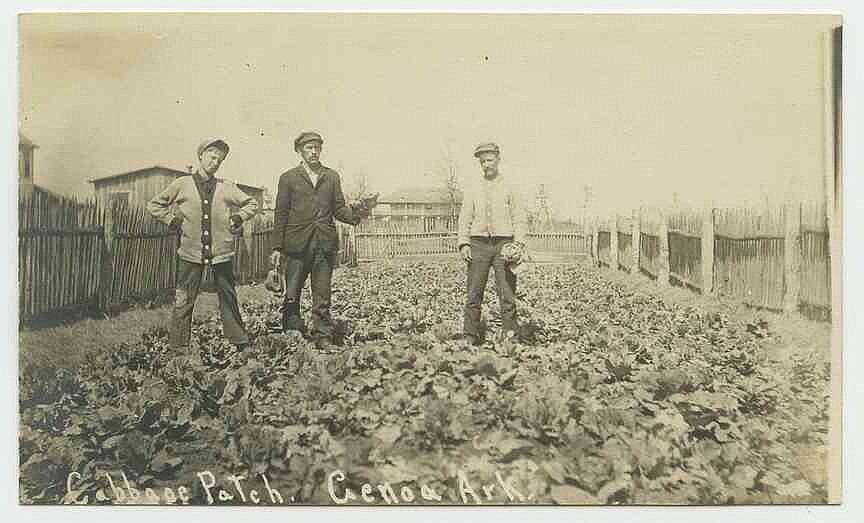 Arkansas Postcard Past: Genoa, circa 1915
