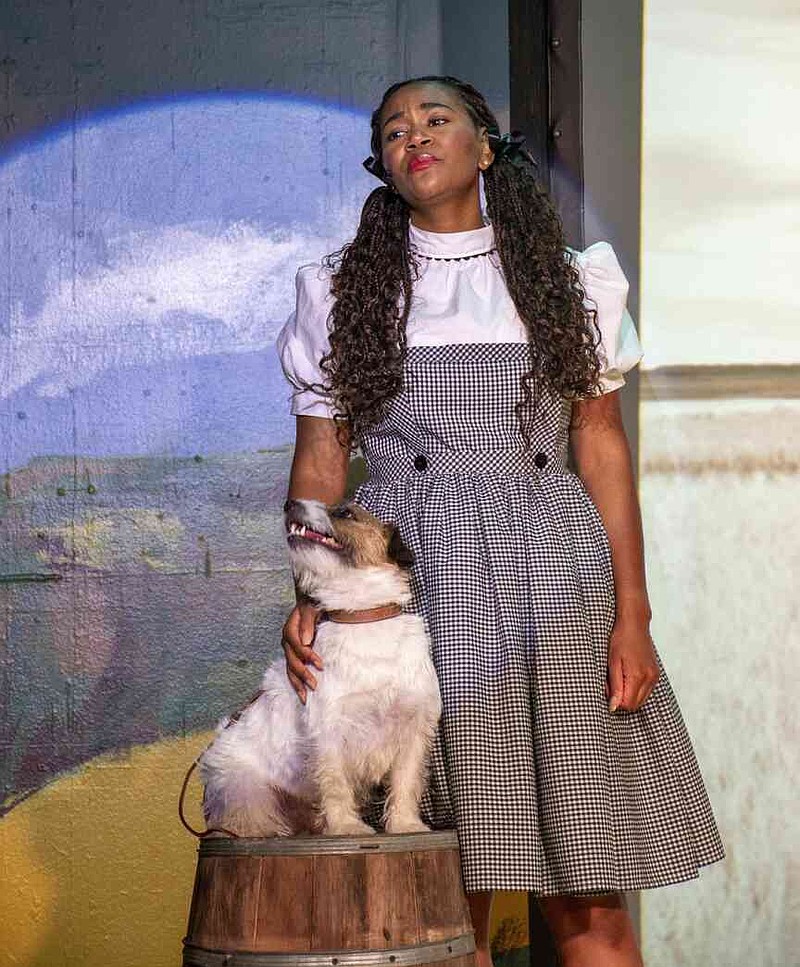 Sun Rizzo Veteran four-legged actor plays Toto in ‘Oz’ | The Arkansas Democrat ...